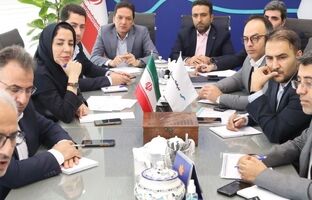 دومین نشست مجازی مدیرعامل بیمه سینا با رؤسای شعب