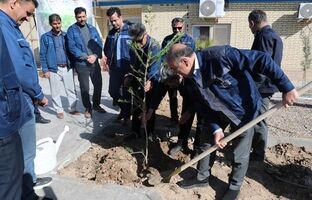 برگزاری مراسم کاشت نهال توسط مدیر عامل شرکت سنگ آهن مرکزی