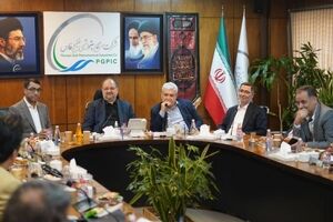 تأکید مدیرعامل هلدینگ خلیج‌فارس بر تسریع در اجرای پروژه‌های تأمین برق شرکت‌های آسیب‌دیده با مشارکت مپنا