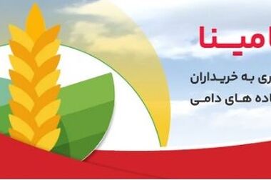 هم‌افزایی فولادمبارکه و بانک ملت برای تأمین مالی بازسازی و نوسازی