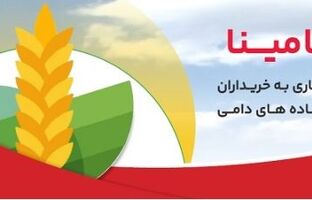 ”حامینا“ محصول جدید بانک ملت برای تامین مالی نهاده های دامی