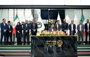 تنوع محصولات و نوآوری؛ عامل مزیت رقابتی