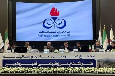 ارسلان شهنی عضو جدید هیأت مدیره پتروشیمی امیرکبیر شد