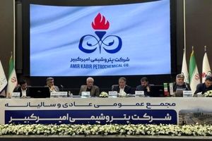 افزایش ۸۸ درصدی سود خالص هر سهم در سال ۱۴۰۳