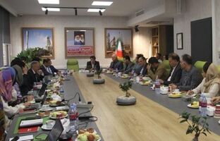 اولین نشست پروژه مشترک شرکت های ایریتک، فولاد کردستان و شرکای خارجی برگزار شد
