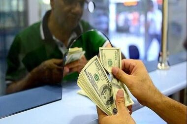تحولات ارزی قابل پیش‌بینی بود/ مسئله ارزی تنها از طریق یک دستگاه قابل مدیریت نیست