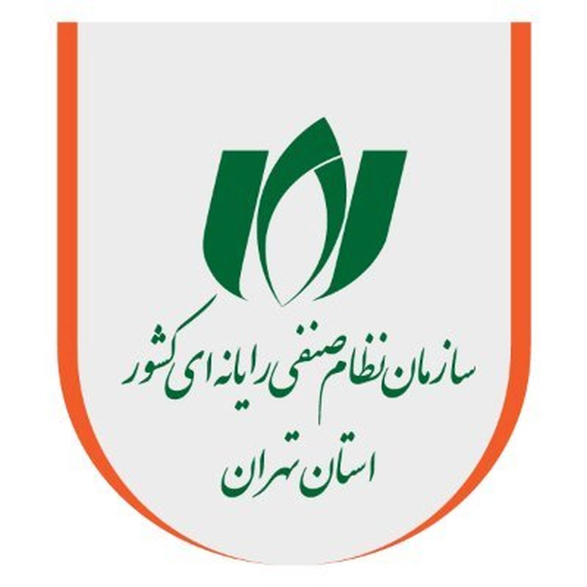 گزارشی از اقدامات سازمان نظام صنفی رایانه‌ای در جنگ 12 روزه/ راهکارهای فوری برای دوام اقتصاد دیجیتال