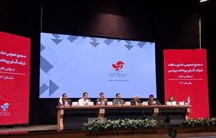 صورت‌های مالی «آپ» در مجمع عمومی تصویب شد / تقسیم سود 68 ریالی به ازای هر سهم