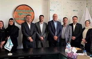 برگزاری کارگاه تخصصی «تحول دیجیتال و هوش مصنوعی» بیمه دی در زنجان