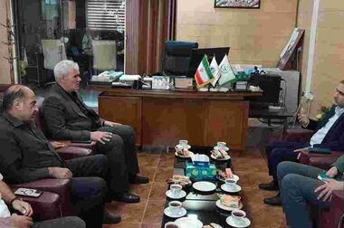 تأکید بر تسهیل ارائه خدمات درمانی به ایثارگران در نشست مشترک بیمه دی و بنیاد شهید استان زنجان