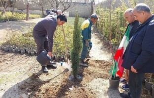 برگزاری پویش درختکاری «به یاد سرو، به نام ایران» در بوستان های منطقه ۵