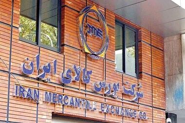 حمایت مستقیم از کشاورزان و اصلاح نظام یارانه ها با اجرای ماده ۳۳ در بورس کالا