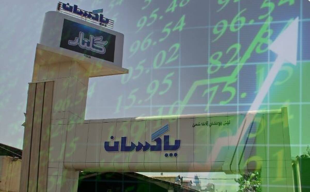 جهش مالی، توسعه صنعتی و سرمایه‌گذاری در فناوری توسط پاکسان