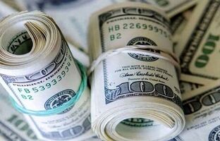 تحولات ارزی قابل پیش‌بینی بود/ مسئله ارزی تنها از طریق یک دستگاه قابل مدیریت نیست