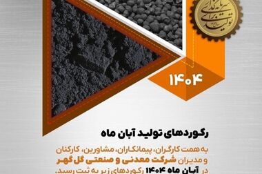 ساختار دارایی ها و بدهی های شرکت معدنی و صنعتی گل گهر

