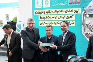 فولاد کاوه نجات بخش آهوی کوهی