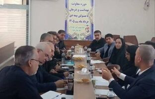 بررسی مشکلات ایثارگران شرق استان فارس با حضور مدیر بیمه دی استان