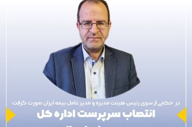 نقش محوری پلیس و بیمه در گسترش فرهنگ ایمنی