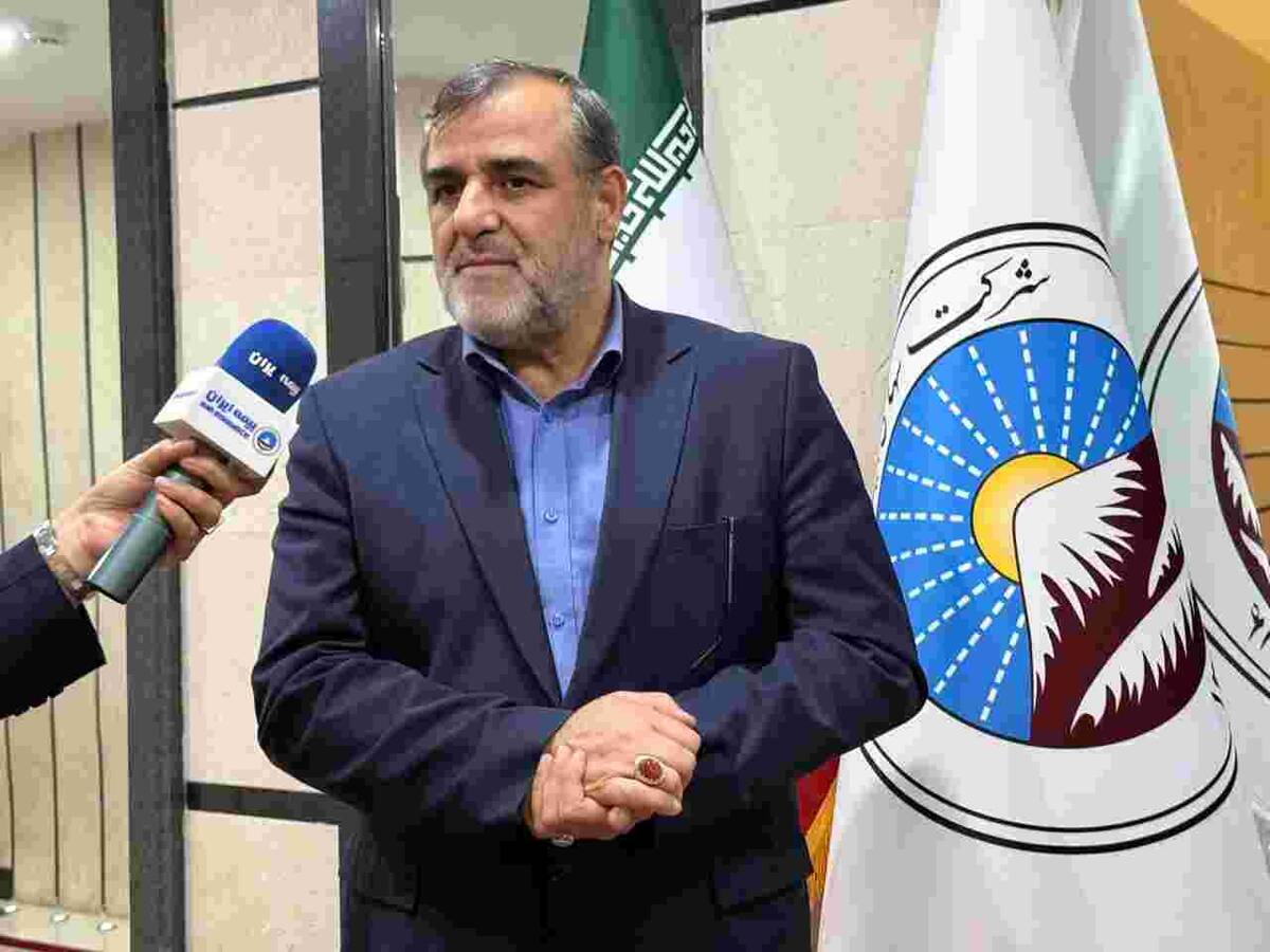 بیمه ایران، بازوی توانمند دولت در مدیریت کلان ریسک‌های اقتصادی