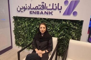 نباید به دنبال این باشیم که بخش خصوصی را زمین بزنیم