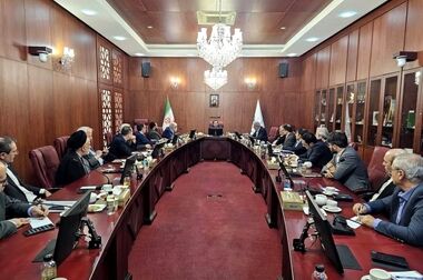 روایت شاپرک از جهش های «پرداخت نوین آرین»