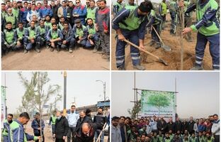 برگزاری مراسم کاشت نهال با حضور معاونین و مدیران شرکت فولاد سنگان