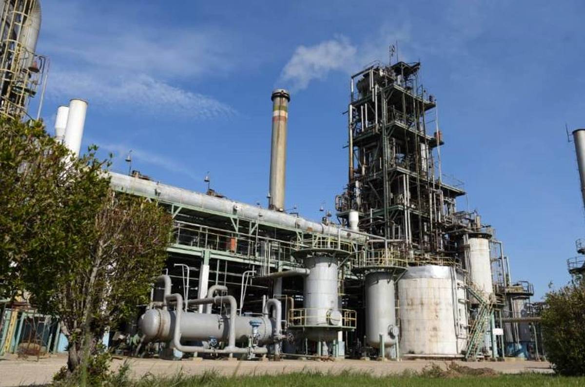 فارابی در ماه اخیر ۲۳۲٪ نسبت به مدت مشابه پارسال افزایش فروش داشت