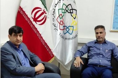 تأکید گروسی بر اجرای کامل ماده ۶۵ و رفع تداخلات مدیریتی
