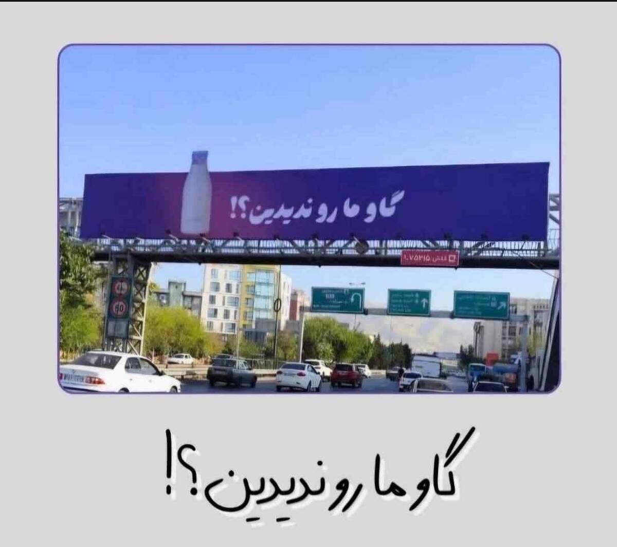 کمپین «گاو ما رو ندیدین؟» از تهران آغاز شد؛ «اکران تیزینگ پگاه»در مسیر توسعه به شهرهای کشور
