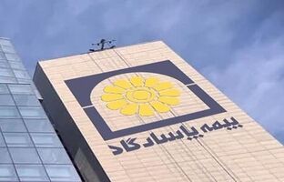 رشته بیمه زندگی، پرچمدار درآمدزایی «بپاس»