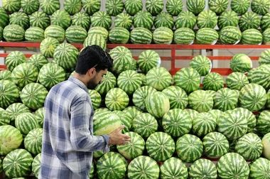 افزایش ۵۹۰۰ مترمربعی سطح خدمت‌رسانی میادین میوه و تره‌بار تهران