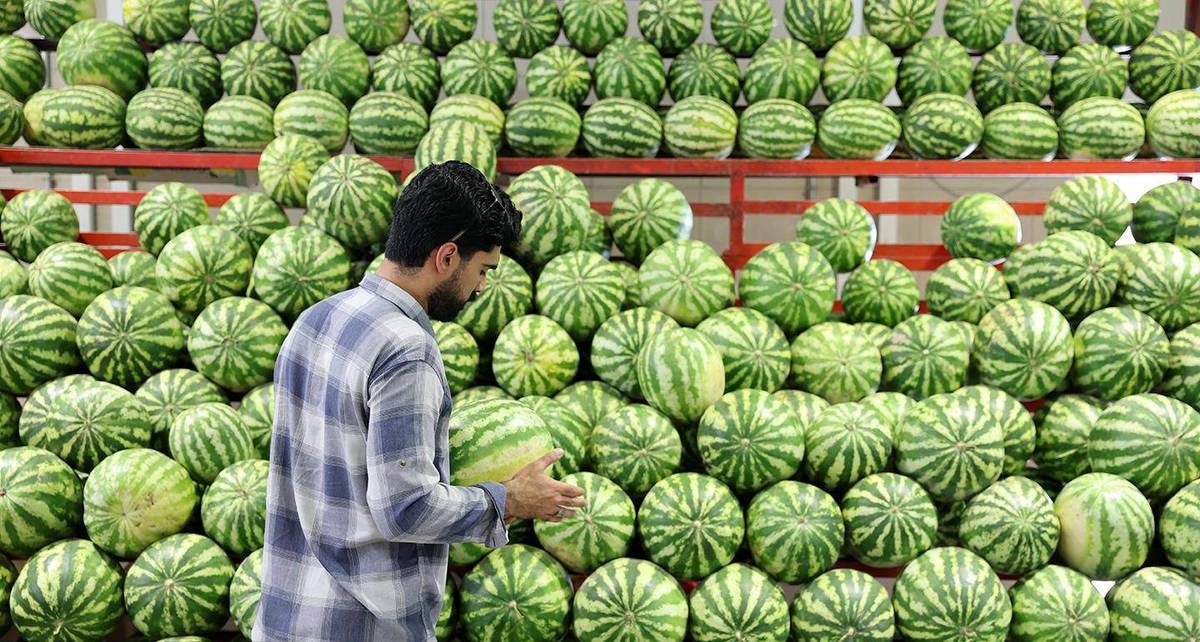 تغییر ساعات میادین و بازارهای میوه و تره‌بار به مناسبت شب یلدا