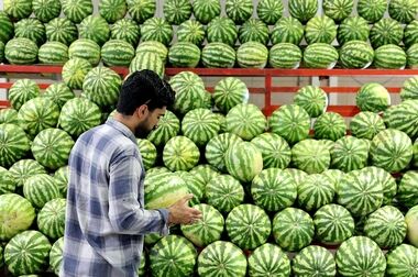 تعطیلی تمامی میادین و بازارهای میوه و تره‌بار در روز ۲۲ بهمن ماه