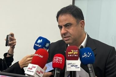 وزیر اقتصاد: دولت برای مهار التهابات اقتصادی برنامه دارد