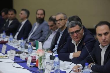 مدیرعامل پتروشیمی ایلام منصوب شد