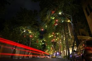 المان نوری ماهی های رنگی بر درختان خیابان عمار نصب شد