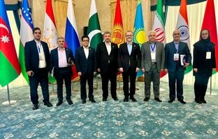 استقبال از طرح ایران برای اتصال برق کشورهای عضو سازمان شانگهای/ توسعه تجدیدپذیرها فرصت همگرایی را افزایش داده است