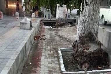 انتظار مسافران خط تجریش، دارآباد و شهرک قائم (عج) کمتر شد