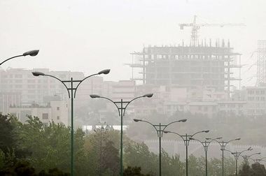 ۱۶ ابتکار جهانی برای کاهش آلودگی هوا؛ از شهر هوشمند تا جنگل‌های عمودی