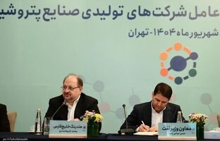  خصوصی‌سازی واقعی تنها راه توسعه صنعت پتروشیمی است