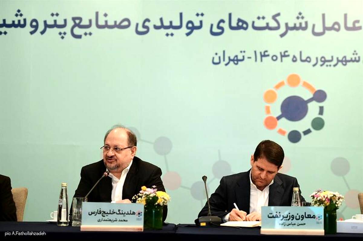  خصوصی‌سازی واقعی تنها راه توسعه صنعت پتروشیمی است
