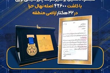 گام مهم جم‌پیلن در راستای حمایت از کسب و کارهای خرد و توانمندسازیِ بانوان سرپرست خانوار