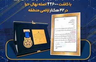 عملکرد تحسین برانگیز شرکت پتروشیمی نوری با کاشت ۴۲۶۰۰ اصله نهال حرا در ۴۲ هکتار اراضی منطقه