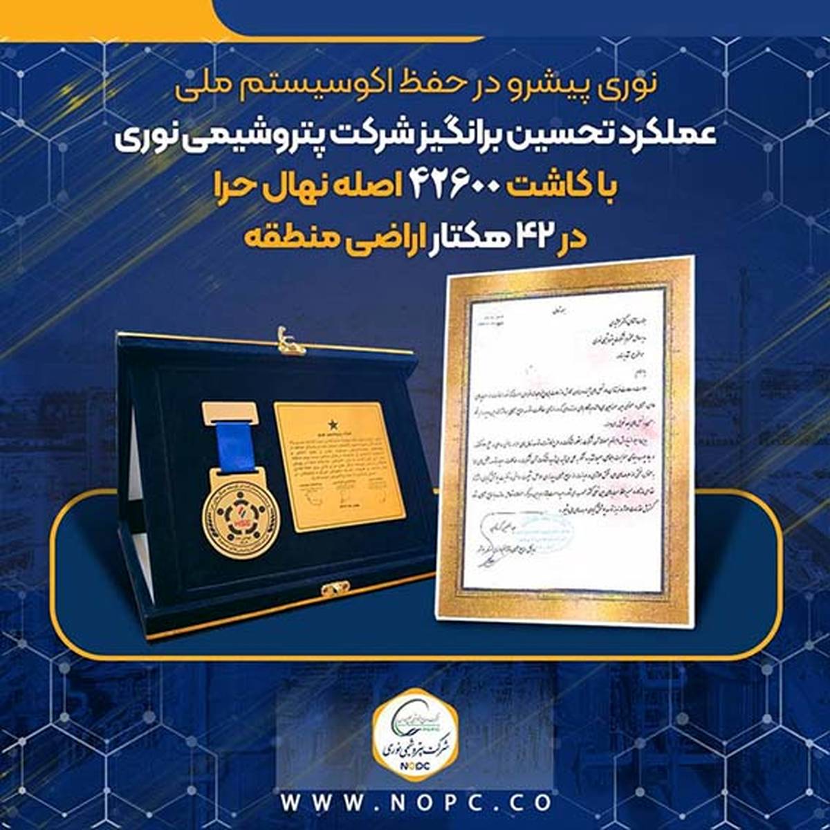 عملکرد تحسین برانگیز شرکت پتروشیمی نوری با کاشت ۴۲۶۰۰ اصله نهال حرا در ۴۲ هکتار اراضی منطقه