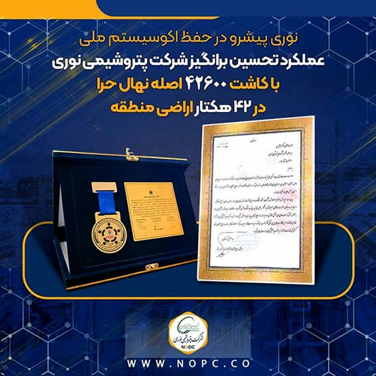 عملکرد تحسین برانگیز شرکت پتروشیمی نوری با کاشت ۴۲۶۰۰ اصله نهال حرا در ۴۲ هکتار اراضی منطقه