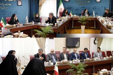 پیام تبریک مدیر عامل بیمه ایران به مناسبت هفته وحدت