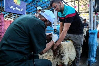 از حضور سازمان مدیریت میادین در ایام جنگ 12 روزه، می‌توان الگوبرداری کرد