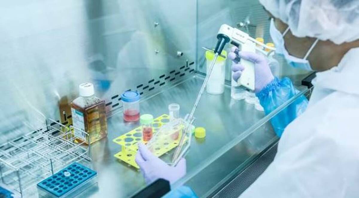 جهش پرشتاب پزشکی بازساختی در دولت چهاردهم