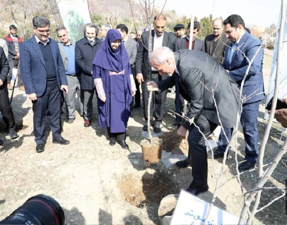 کاشت نهال دوستی توسط سفرای کشورهای خارجی در بوستان  پردیسان