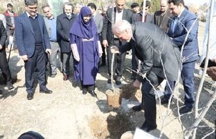 کاشت نهال دوستی توسط سفرای کشورهای خارجی در بوستان  پردیسان